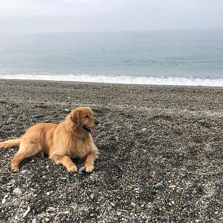 H Boutique La Caleta Bay 라 에라두라